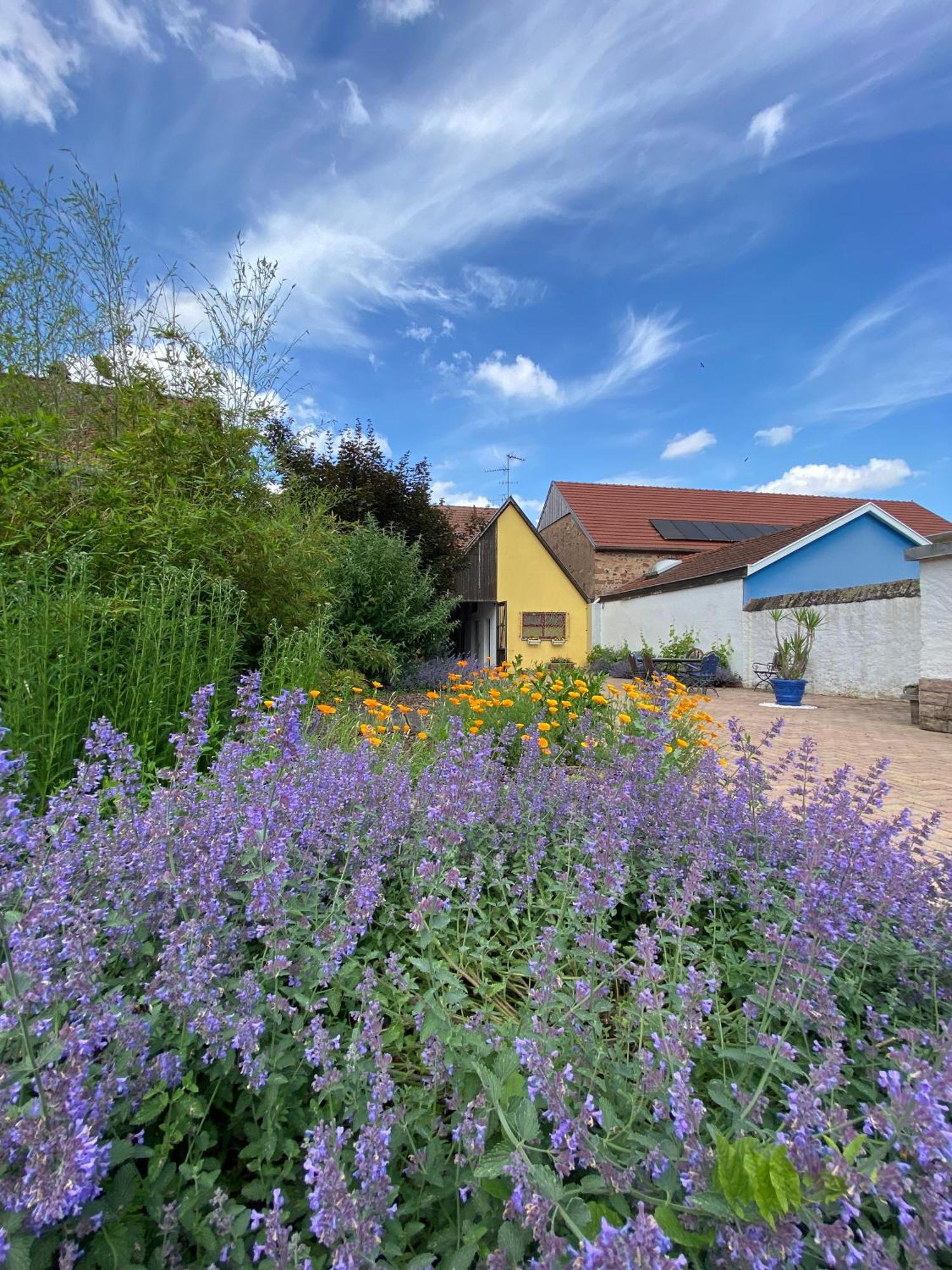 Relais Du Dompeter Bed and Breakfast Molsheim Εξωτερικό φωτογραφία