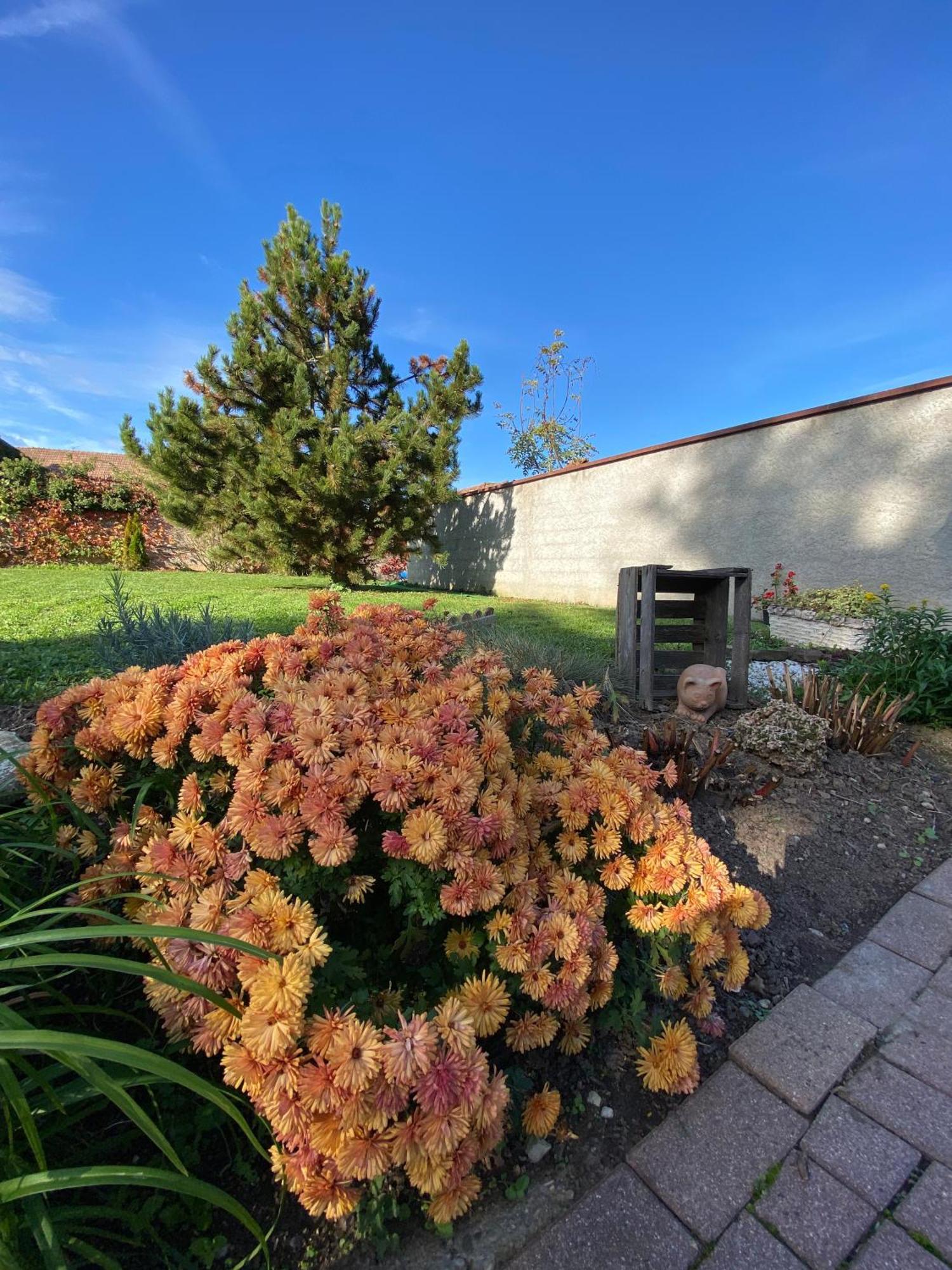 Relais Du Dompeter Bed and Breakfast Molsheim Εξωτερικό φωτογραφία